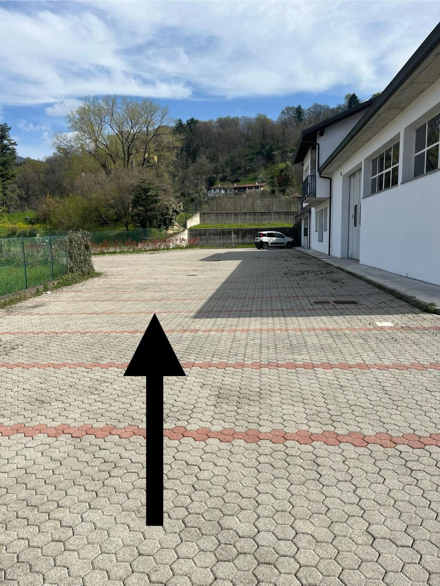 La Rondine Casa vacanze Pettenasco